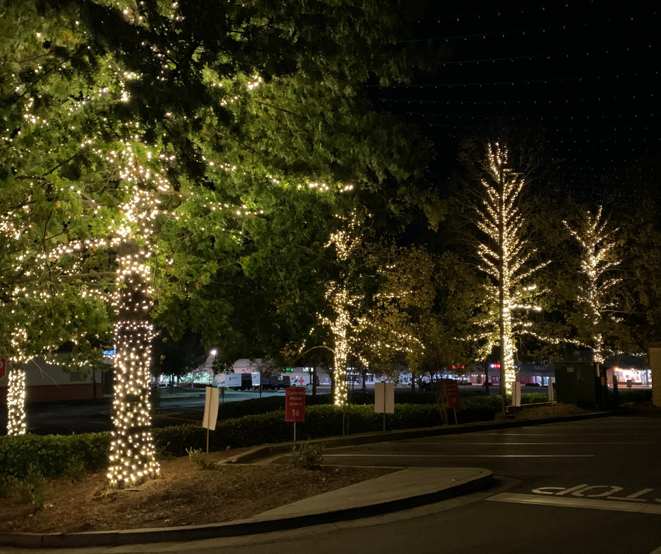 Tree Lighting